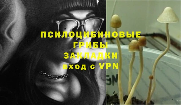 PSILOCYBIN Фурманов