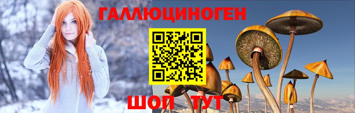 Галлюциногенные грибы Magic Shrooms  Вход с VPN  Хабаровск  Галлюциногенные грибы прущие грибы 