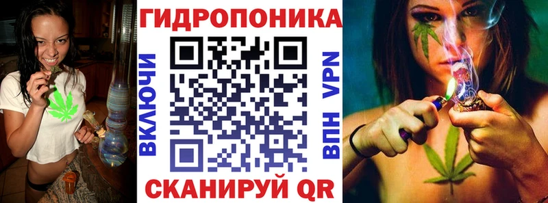 даркнет сайт  Хабаровск  Бошки Шишки сатива 